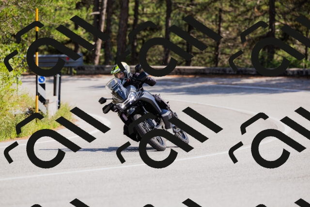 202509131416-_04A8821_c3