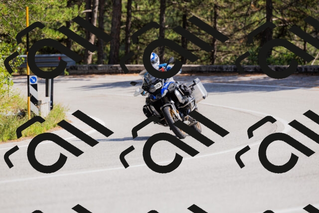 202509131417-_04A8827_c3