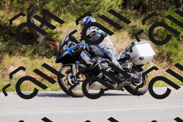 202509131417-_04A8830_c3