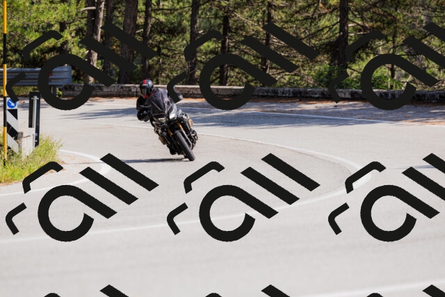 202509131418-_04A8831_c3