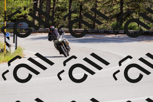 202509131418-_04A8832_c3