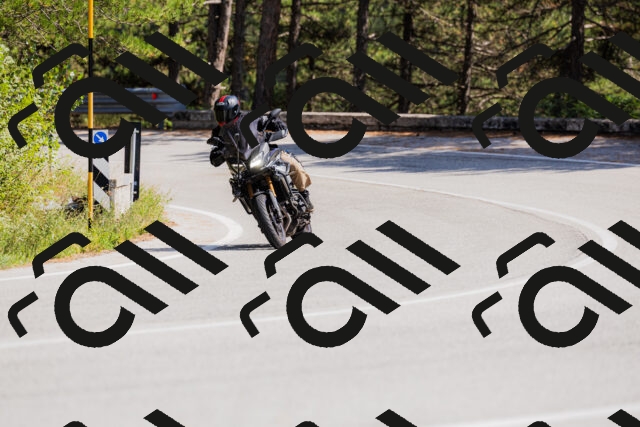 202509131418-_04A8833_c3