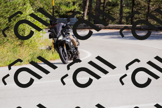 202509131418-_04A8834_c3