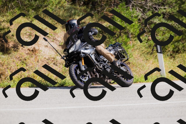 202509131418-_04A8836_c3