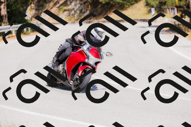 202509131419-_04A8841_c3