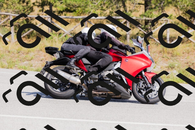 202509131419-_04A8844_c3