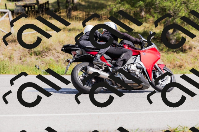 202509131419-_04A8845_c3