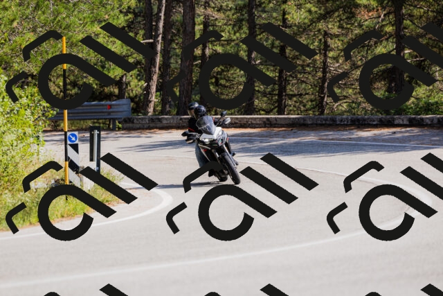 202509131420-_04A8847_c3