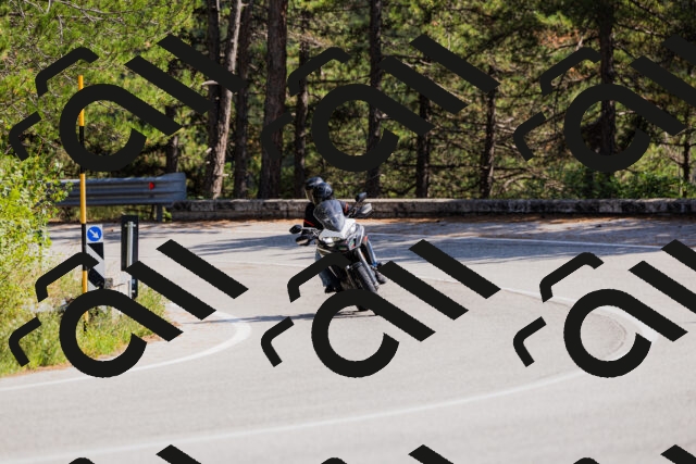 202509131420-_04A8848_c3