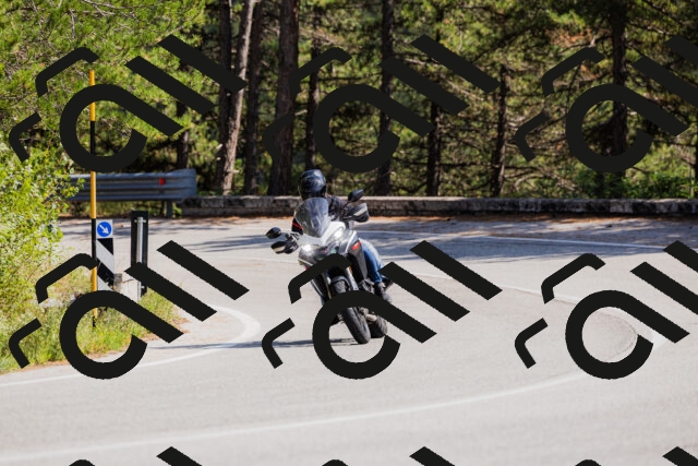 202509131420-_04A8849_c3