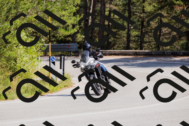 202509131420-_04A8850_c3