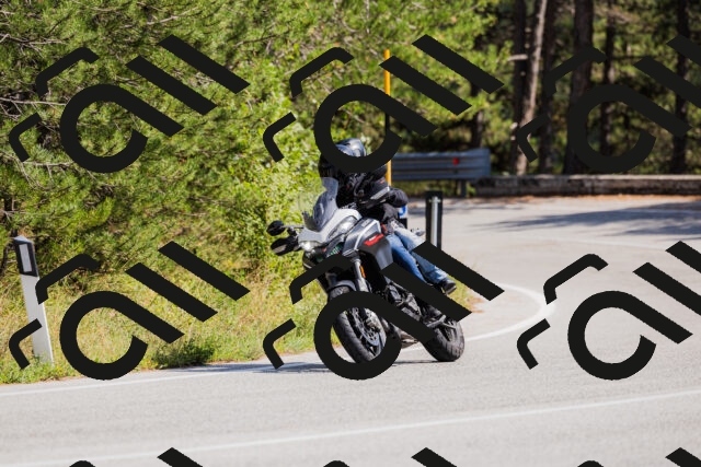 202509131420-_04A8851_c3