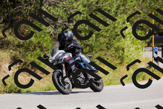 202509131420-_04A8852_c3