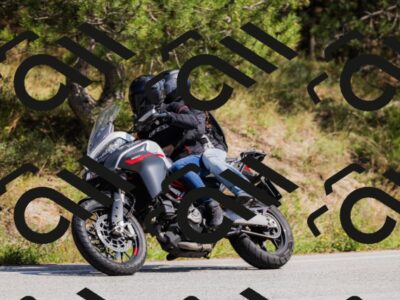 202509131420-_04A8853_c3