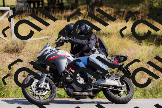 202509131420-_04A8854_c3