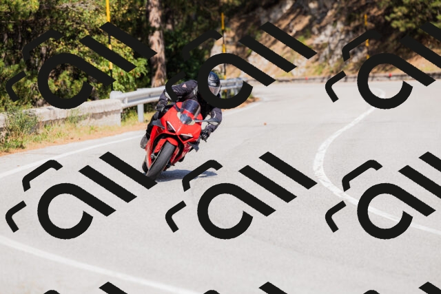 202509131422-_04A8855_c3