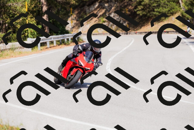 202509131422-_04A8856_c3