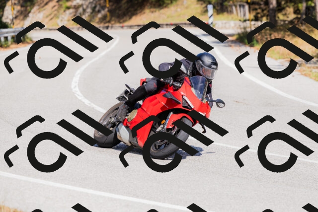 202509131422-_04A8857_c3