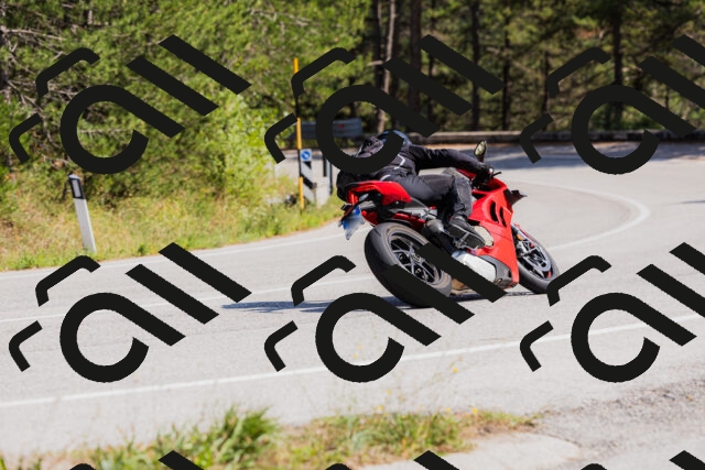 202509131422-_04A8861_c3