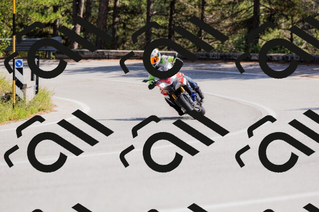 202509131423-_04A8864_c3