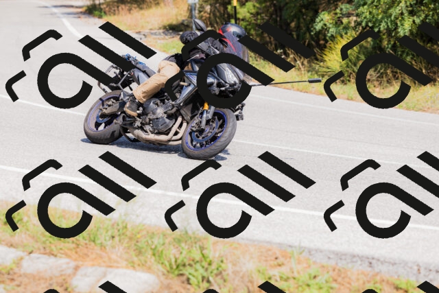 202509131424-_04A8873_c3