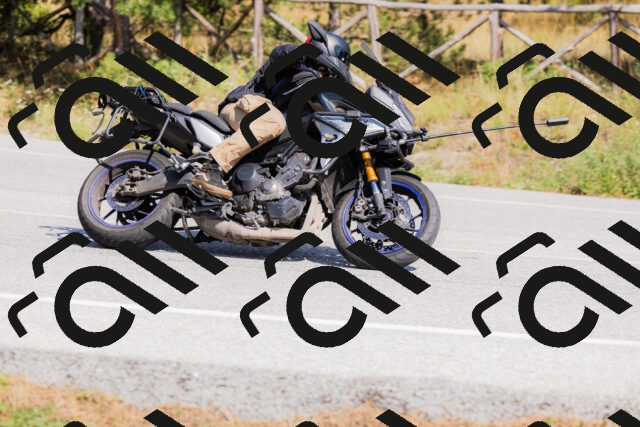 202509131424-_04A8874_c3