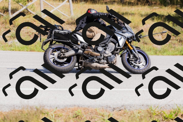 202509131424-_04A8875_c3