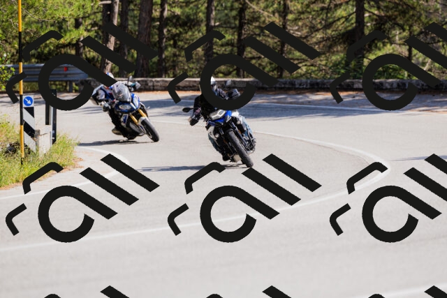 202509131428-_04A8877_c3