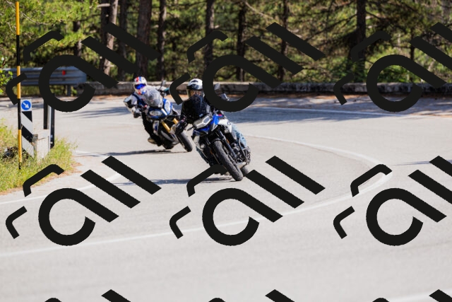 202509131428-_04A8878_c3