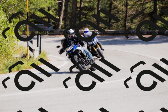 202509131428-_04A8879_c3