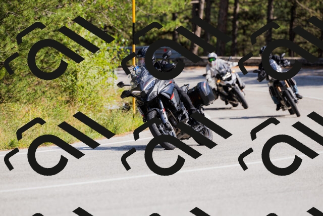 202509131428-_04A8886_c3