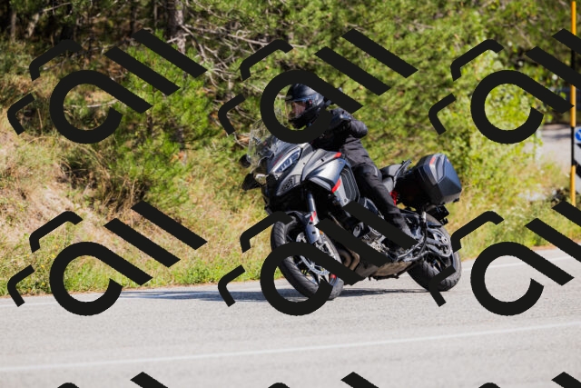 202509131428-_04A8887_c3