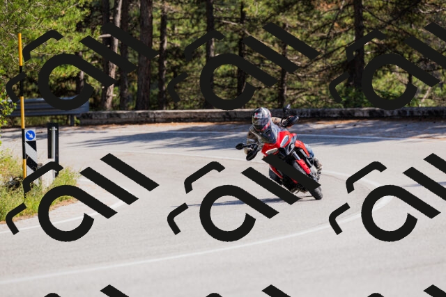 202509131428-_04A8890_c3