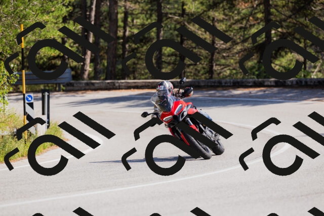 202509131428-_04A8891_c3