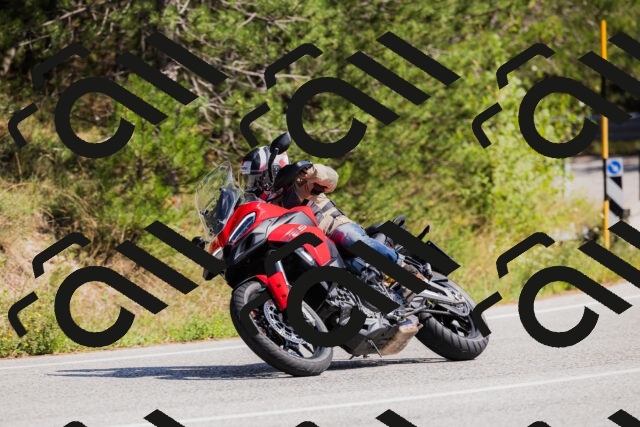 202509131428-_04A8893_c3