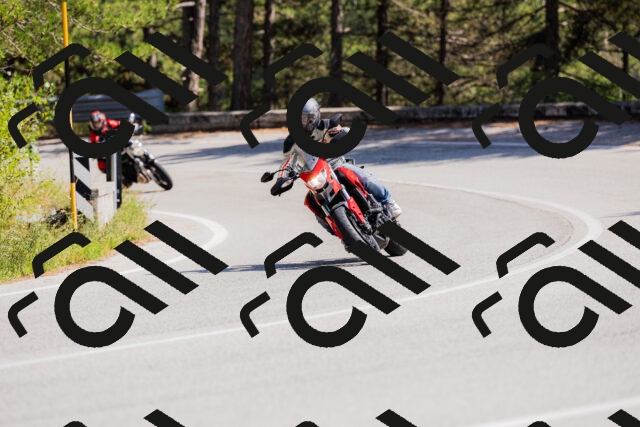 202509131428-_04A8896_c3