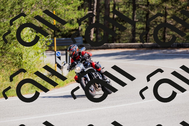 202509131428-_04A8899_c3