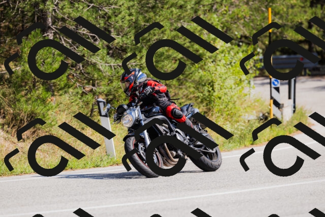 202509131428-_04A8900_c3