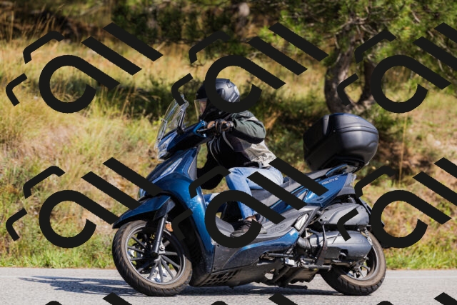 202509131428-_04A8905_c3