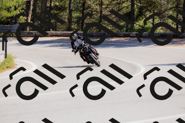 202509131431-_04A8906_c3