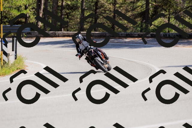 202509131431-_04A8907_c3