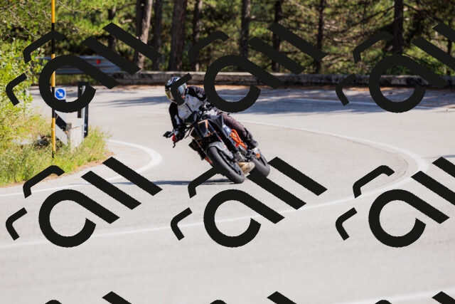 202509131431-_04A8908_c3