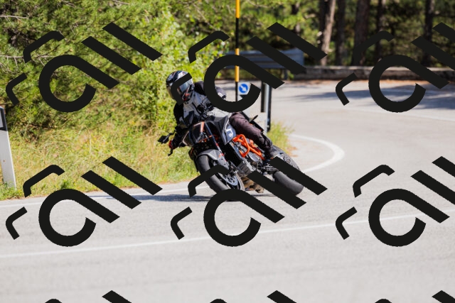 202509131431-_04A8909_c3