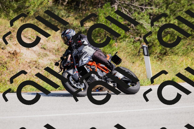 202509131431-_04A8910_c3