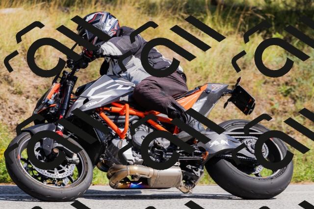 202509131431-_04A8911_c3