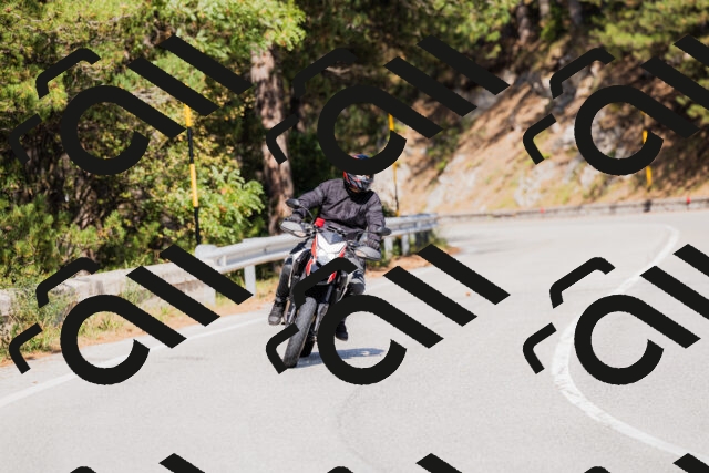 202509131431-_04A8912_c3