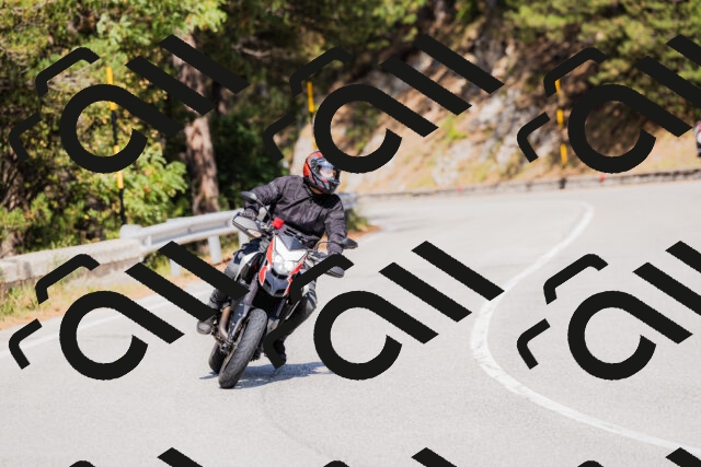 202509131431-_04A8913_c3