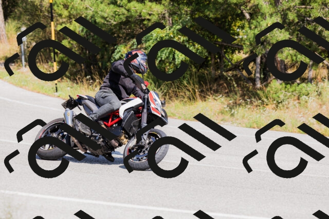 202509131431-_04A8916_c3