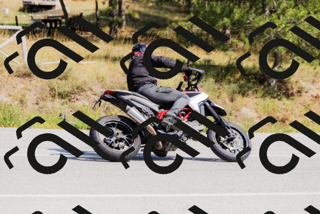 202509131431-_04A8918_c3