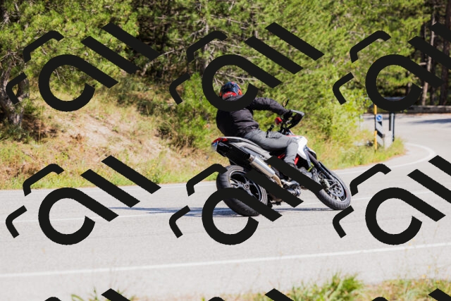 202509131431-_04A8919_c3